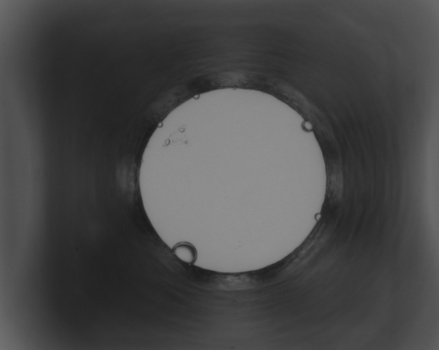 X0000100890525200806241011