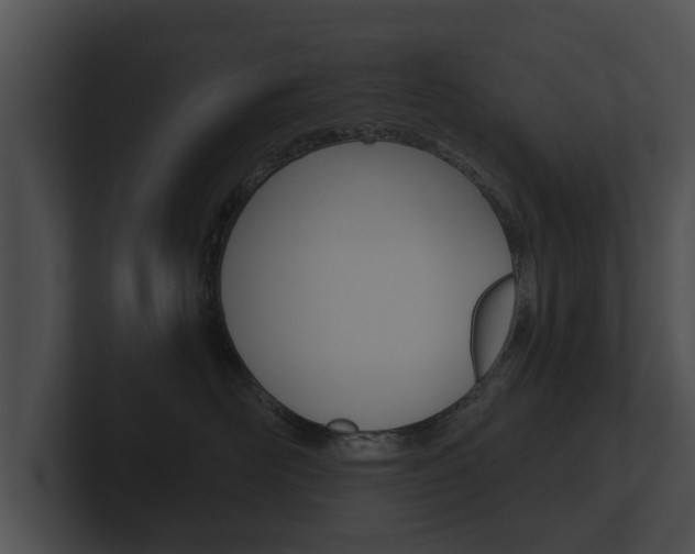 X0000100890526200806241011