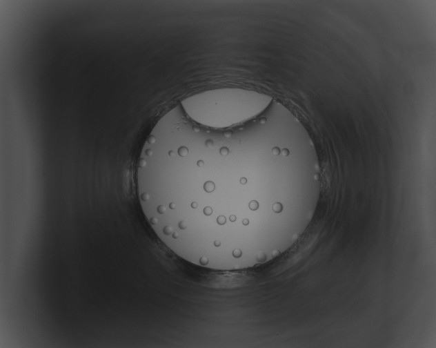X0000100890527200806241011