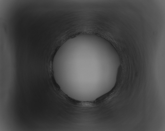 X0000100890528200806241011