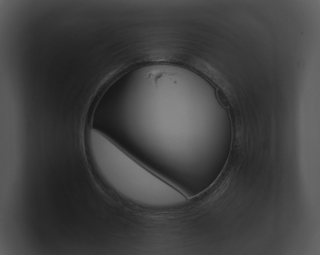 X0000100890530200806241011