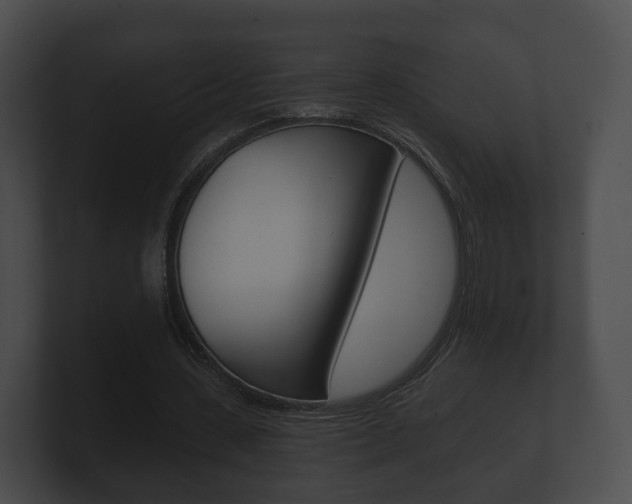 X0000100890531200806241011