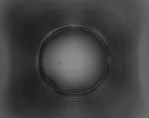 X0000100890532200806241011