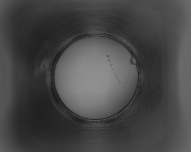 X0000100890533200806241011
