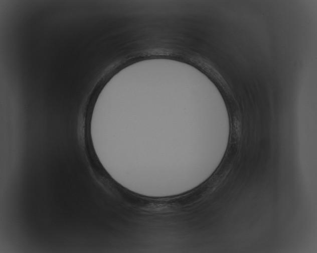 X0000100890534200806241011