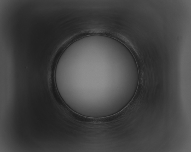 X0000100890535200806241011