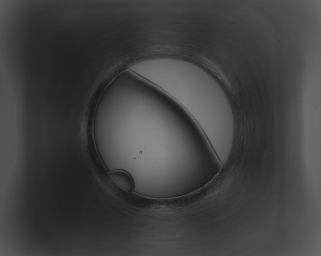 X0000100890538200806241011