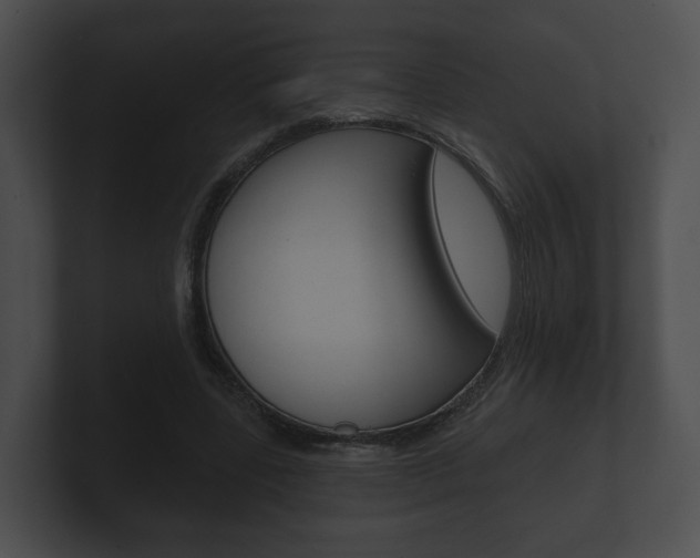 X0000100890539200806241011