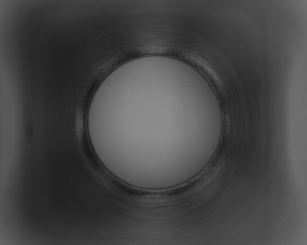 X0000100890541200806241011