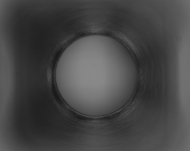 X0000100890542200806241011