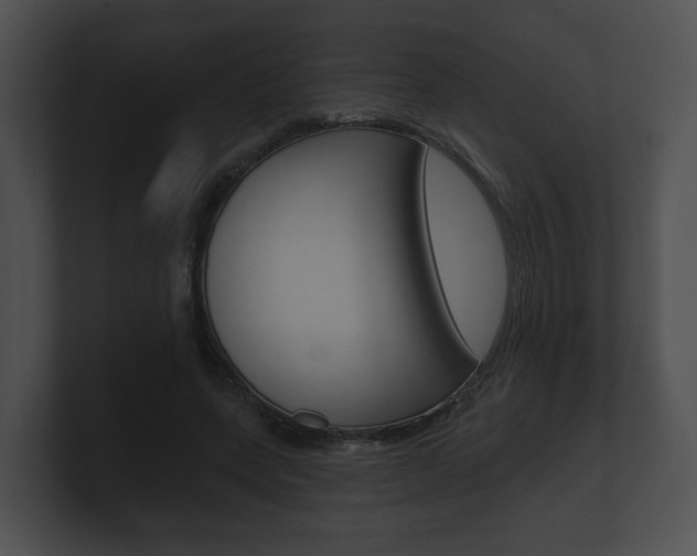 X0000100890543200806241011