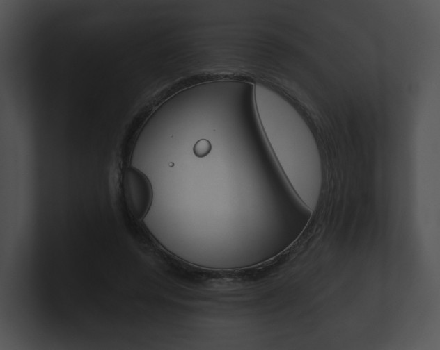 X0000100890544200806241011