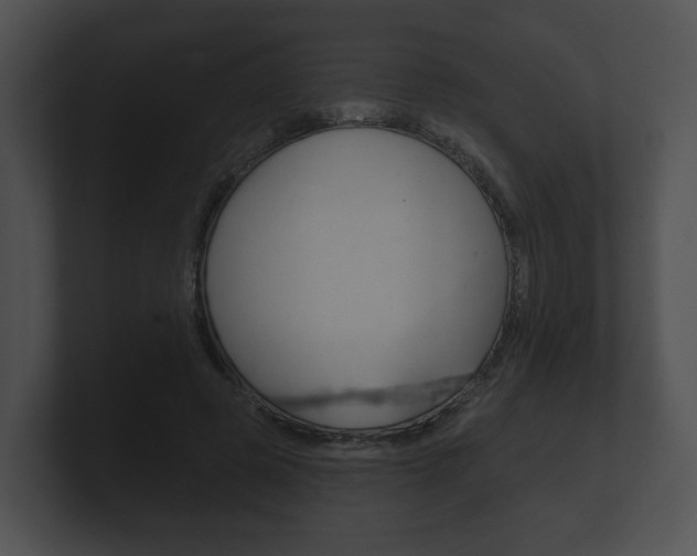 X0000100890545200806241011