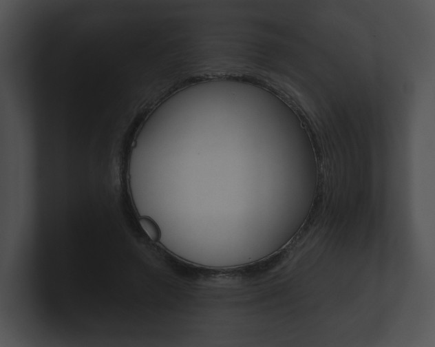 X0000100890546200806241011