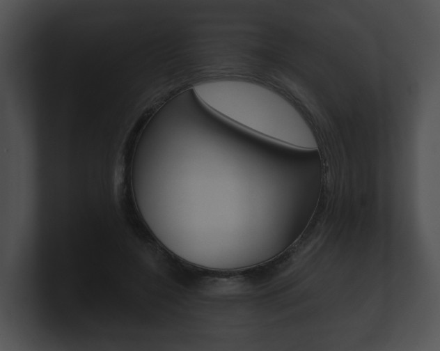 X0000100890548200806241011