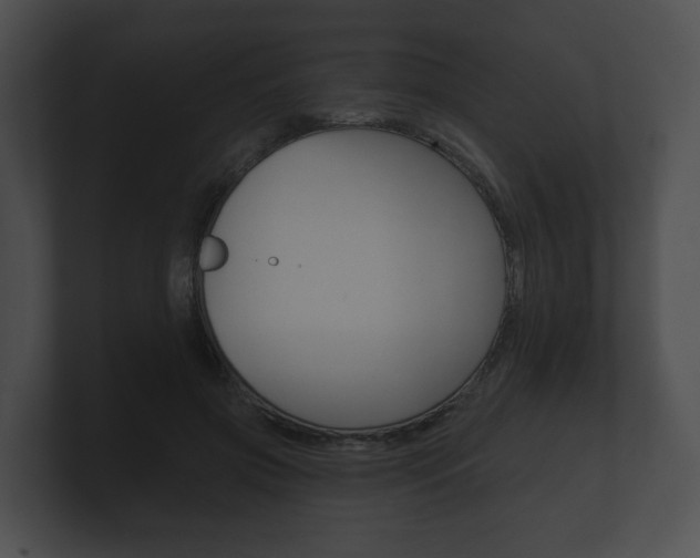 X0000100890549200806241011
