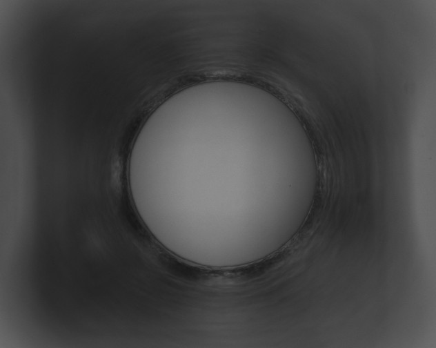 X0000100890550200806241011