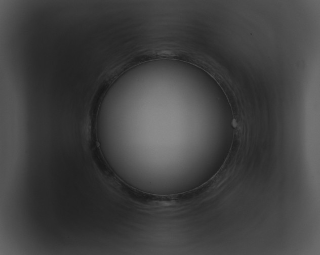 X0000100890552200806241011