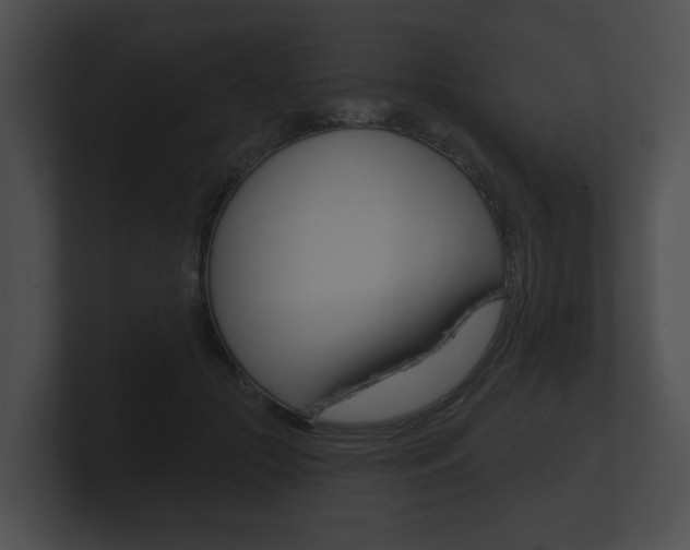 X0000100890553200806241011