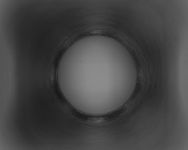 X0000100890554200806241011