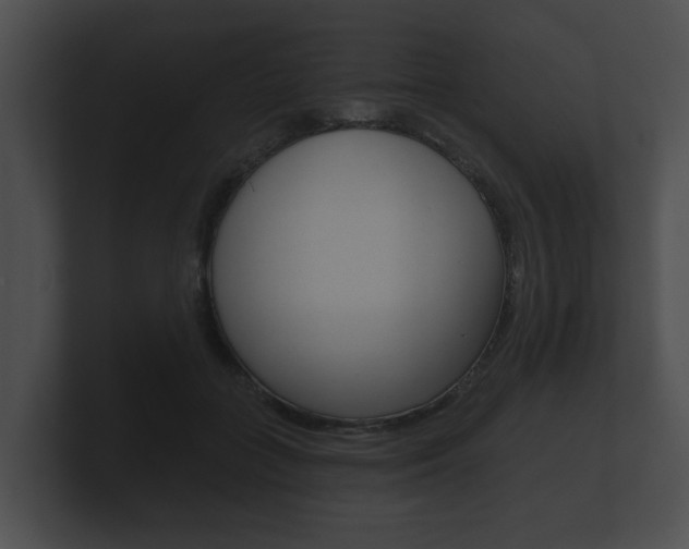 X0000100890555200806241011