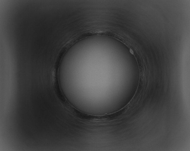 X0000100890556200806241011