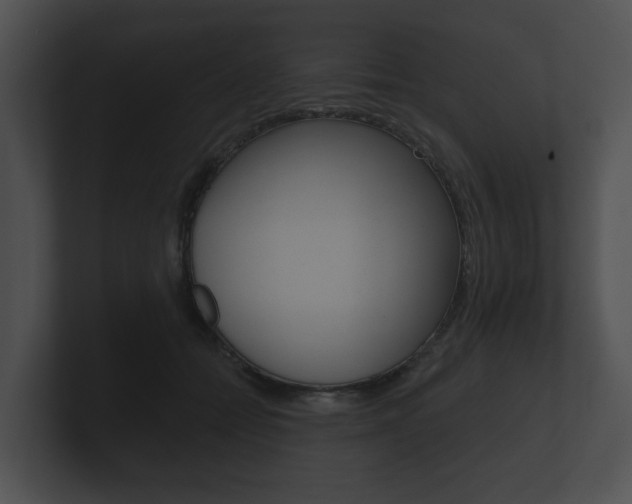 X0000100890558200806241011