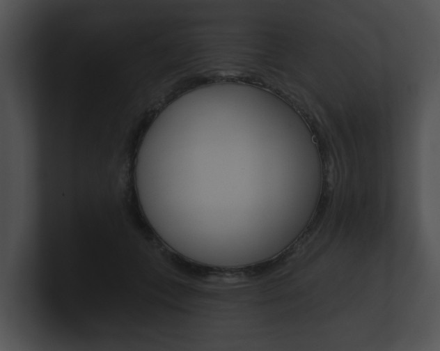 X0000100890559200806241011