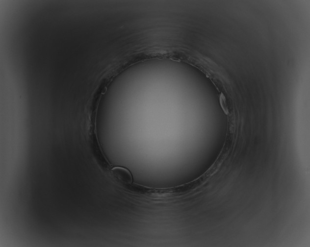 X0000100890560200806241011