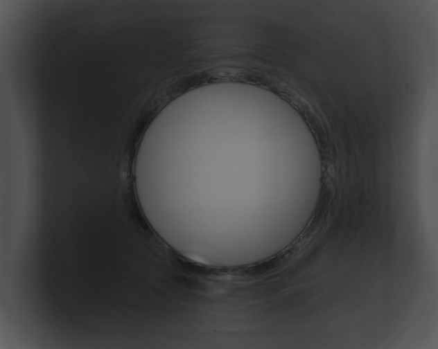 X0000100890561200806241011