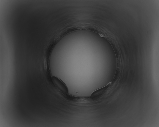 X0000100890562200806241011
