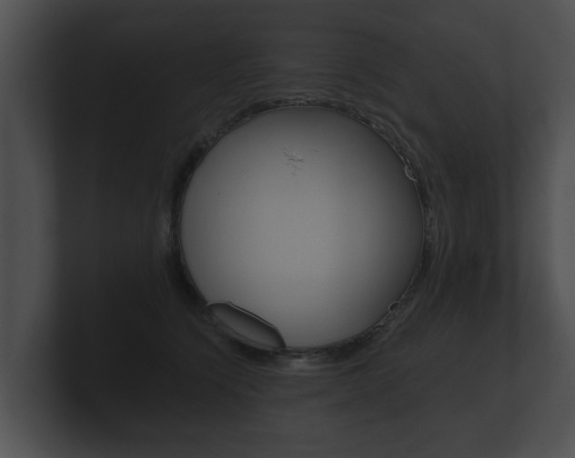 X0000100890564200806241011