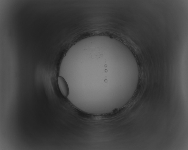X0000100890565200806241011