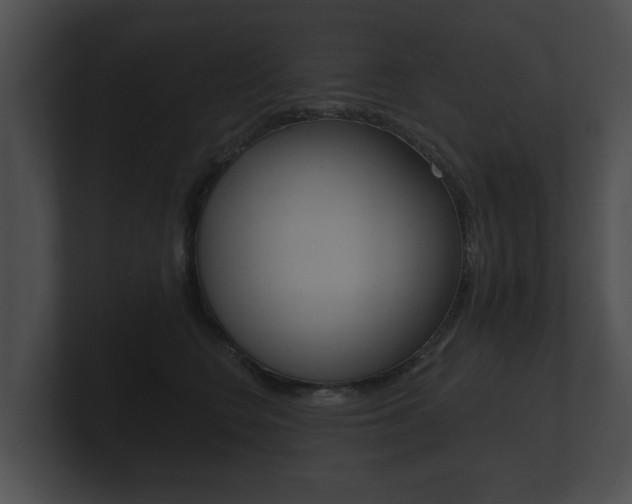 X0000100890566200806241011