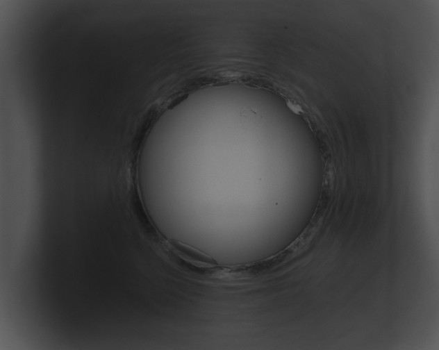 X0000100890568200806241011