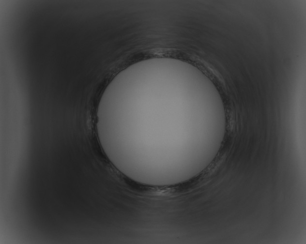 X0000100890569200806241011