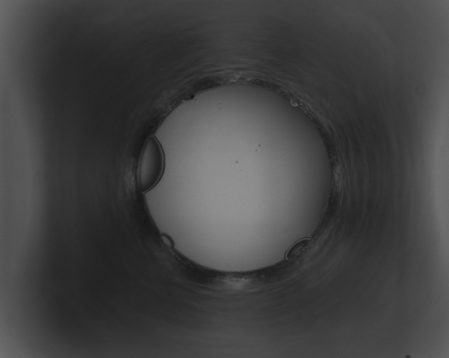 X0000100890570200806241011
