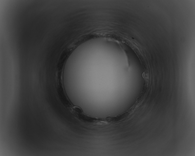 X0000100890572200806241011