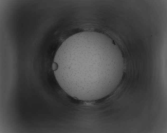 X0000100890573200806241011