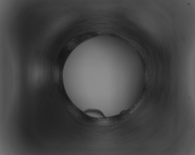 X0000100890574200806241011