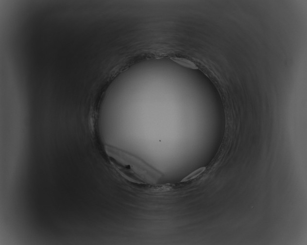 X0000100890576200806241011