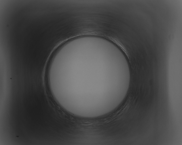 X0000100890579200806241011