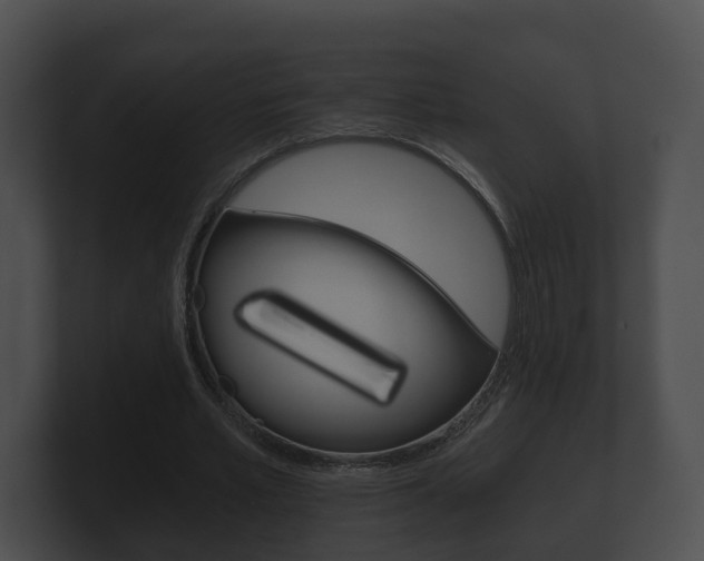X0000100890581200806241011