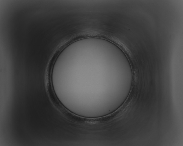 X0000100890582200806241011