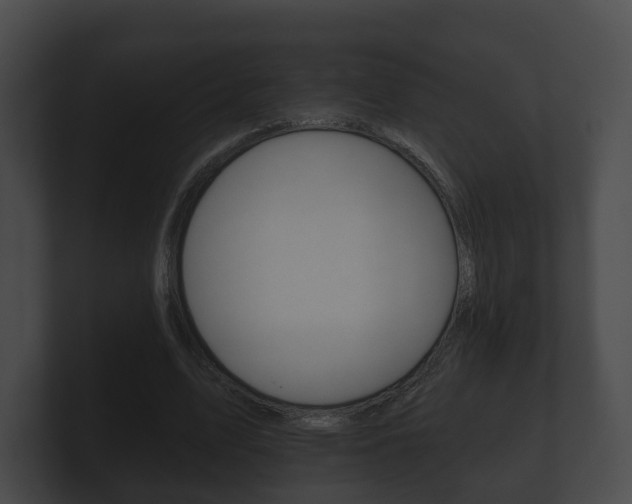 X0000100890583200806241011