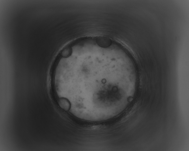 X0000100890584200806241011