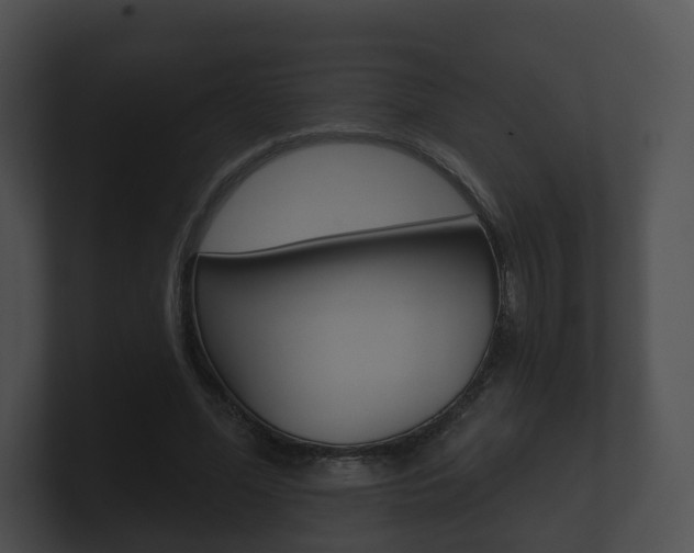X0000100890588200806241011