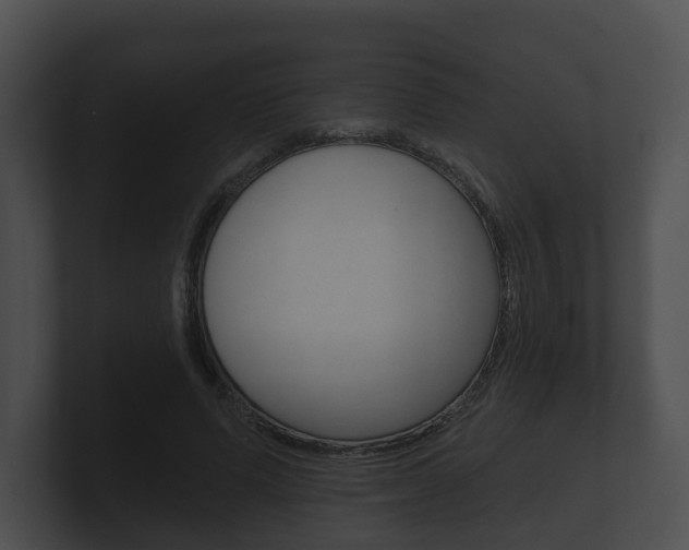 X0000100890591200806241010