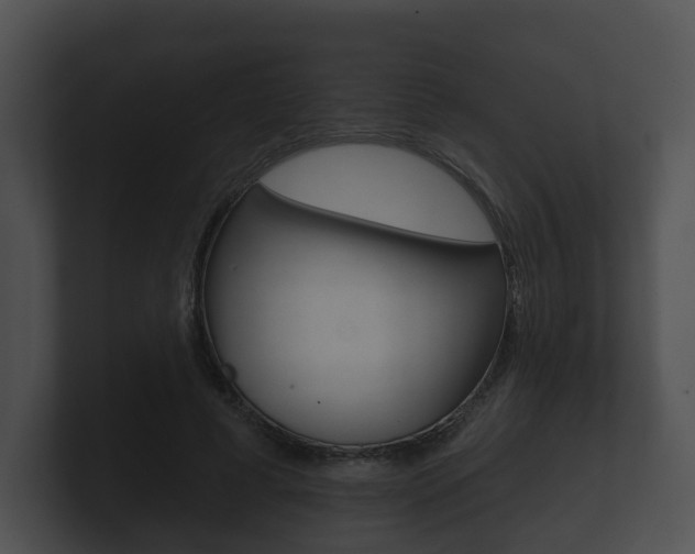 X0000100890593200806241010