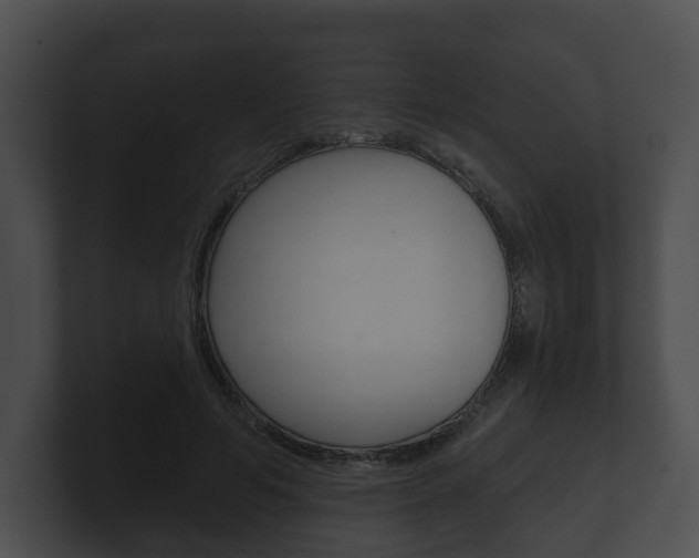 X0000100890594200806241010